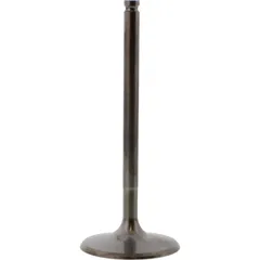 Einlassventil titan Prox 2863512