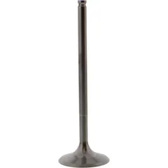 Einlassventil titan Prox 2864252