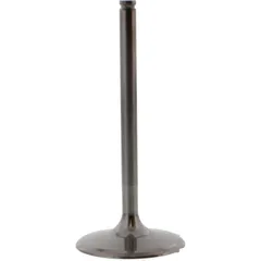 Einlassventil titan Prox 2864272