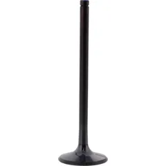 Auslassventil titan Prox 2889051