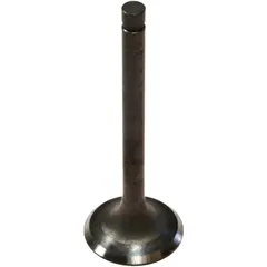 Exhaust valve for: Kawasaki Z, GPZ