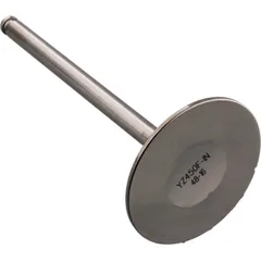 Einlassventil titan Prox 2824442