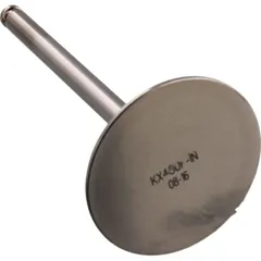 Einlassventil titan Prox 2844162
