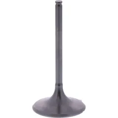 Einlassventil titan Prox 2814172