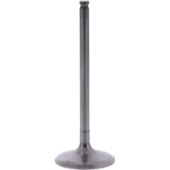 Einlassventil titan Prox 2824192