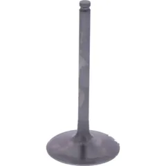 Einlassventil titan Prox 2824502