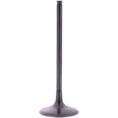 Einlassventil titan Prox 2843472