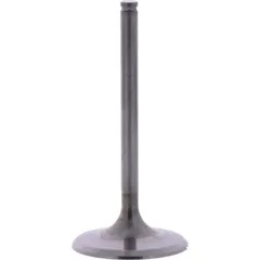 Einlassventil titan Prox 2864192