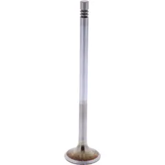 Intake valve (orig spare part) 1009518