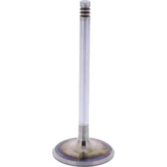 Intake valve (orig spare part) 1009521