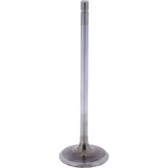 Intake valve (orig spare part) 1009526