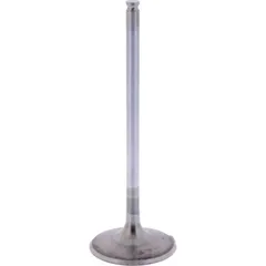Intake valve (orig spare part) 1009547