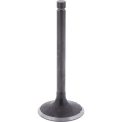 Intake valve (orig spare part) 1009765