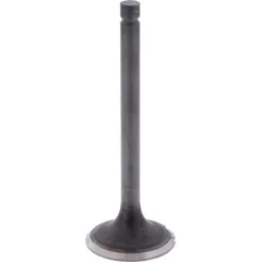 Outlet valve (orig spare part) 1009801