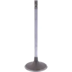 Intake valve (orig spare part) 1013081