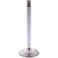 Outlet valve (orig spare part) 1013084