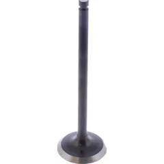 Intake valve (orig spare part) 1101707