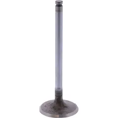 Intake valve (orig spare part) 1105156