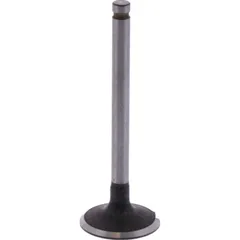 Intake valve (orig spare part) 1105157