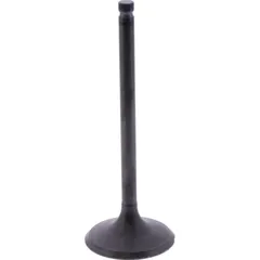 Intake valve (orig spare part) 1105163