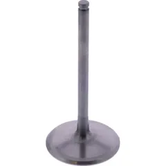 Intake valve titanium prox