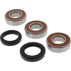 Wheel bearing and seal kit WBK025