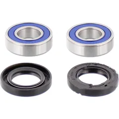 Wheel bearing and seal kit 251070