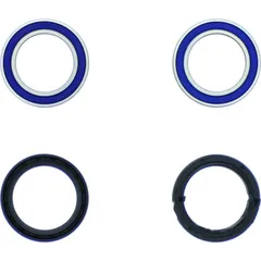 Wheel bearing and seal kit 251402