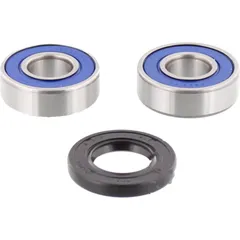 Wheel bearing and seal kit 251038