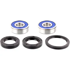 Wheel bearing and seal kit 251319
