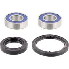 Wheel bearing and seal kit 251076