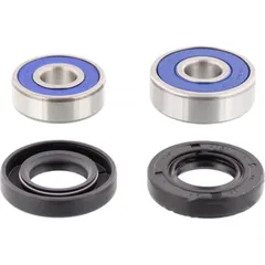 Wheel bearing and seal kit 251181