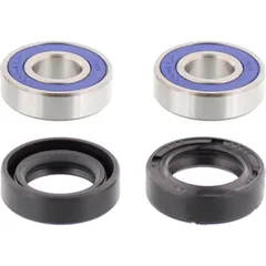 Wheel bearing and seal kit 251009