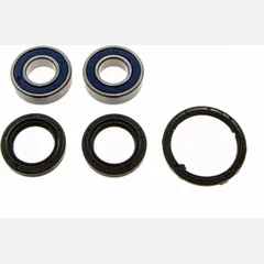 Wheel bearing and seal kit 251077