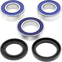 Wheel bearing and seal kit 251111
