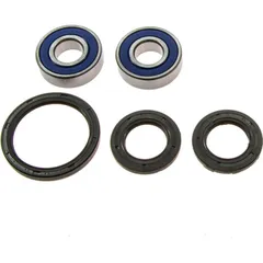 Wheel bearing and seal kit 251222