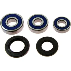 Radlagersatz komplett von All Balls Racing mit Dichtungen 7520251