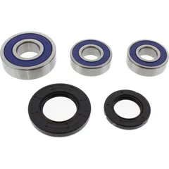Wheel bearing and seal kit 251269