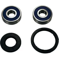 Wheel bearing and seal kit 251316