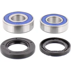 Wheel bearing and seal kit 251113