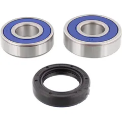 Wheel bearing and seal kit 251261