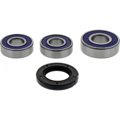 Wheel bearing and seal kit 251231