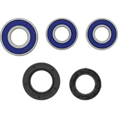 Wheel bearing and seal kit 251230