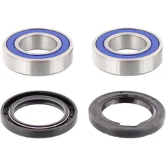 Wheel bearing and seal kit 251273