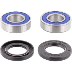 Wheel bearing and seal kit 251223