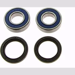 Wheel bearing and seal kit 251389