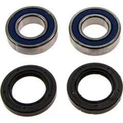 Wheel bearing and seal kit 251403