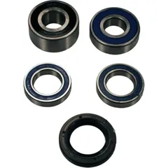 Radlager Satz komplett All Balls 251464