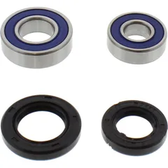 Wheel bearing and seal kit 251042
