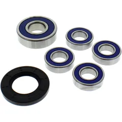 Wheel bearing and seal kit 251097